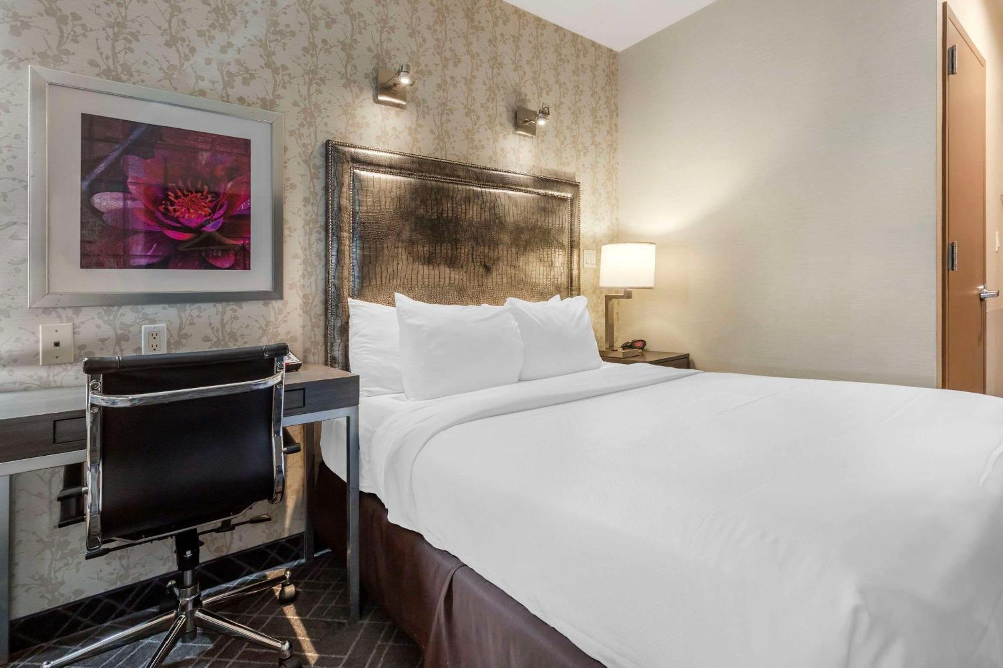 Comfort Manhattan - Midtown West Penginapan New York