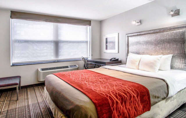Penginapan Comfort Manhattan - Midtown West New York